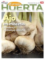 La Huerta en Casa